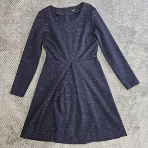 Madewell Navy Long Sleeve Dress